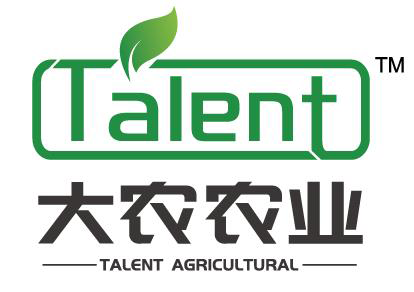 標(biāo)簽global報(bào)錯(cuò)：缺少屬性 name 。